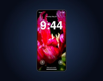 Peony Live Wallpaper for Phone | Animated Magenta Flower Macro | iPhone & Android Lock Screen Video Wallpaper