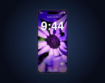 Cineraria Live Wallpaper for Phone | Animated Purple Daisy Flower | iPhone & Android Lock Screen Video Wallpaper