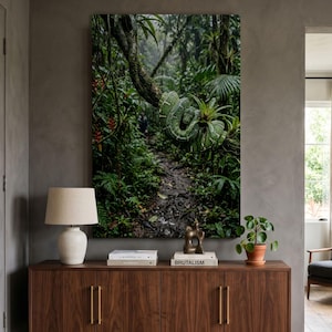 Peut inclure: Une grande impression d'art mural rectangulaire représentant un serpent vert vif enroulé autour d'une branche d'arbre épaisse dans une forêt tropicale dense et brumeuse. L'image montre un feuillage luxuriant, un sentier étroit et des ombres.