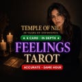 In-Depth Feelings Tarot Reading | Same Hour, Hidden Emotions Clarity, 6 Cards product logo