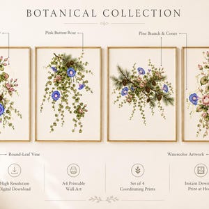 Op de afbeelding: Een set van vier botanische wandkunstprints getiteld BOTANICAL COLLECTION, met aquarelillustraties van ochtendgloriebloemen, roze knoprozen, dennentakken met kegels en rondbladige wijnstokken op een crèmekleurige achtergrond.
