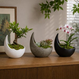 Può includere: Tre vasi in ceramica a forma di mezzaluna nei colori bianco, grigio maculato e nero opaco. Il vaso bianco contiene un piccolo arbusto verde, quello grigio ospita un gruppo di piante succulente e quello nero presenta un'orchidea bianca.
