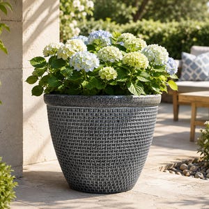 May include: A large, tapered, dark grey planter with a textured, woven-look exterior pattern and a smooth rim. The planter is filled with a lush, vibrant hydrangea plant featuring clusters of light blue and pale yellow-green flower heads.