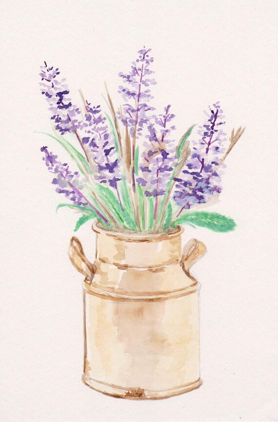 Lavendel In Der Kuche