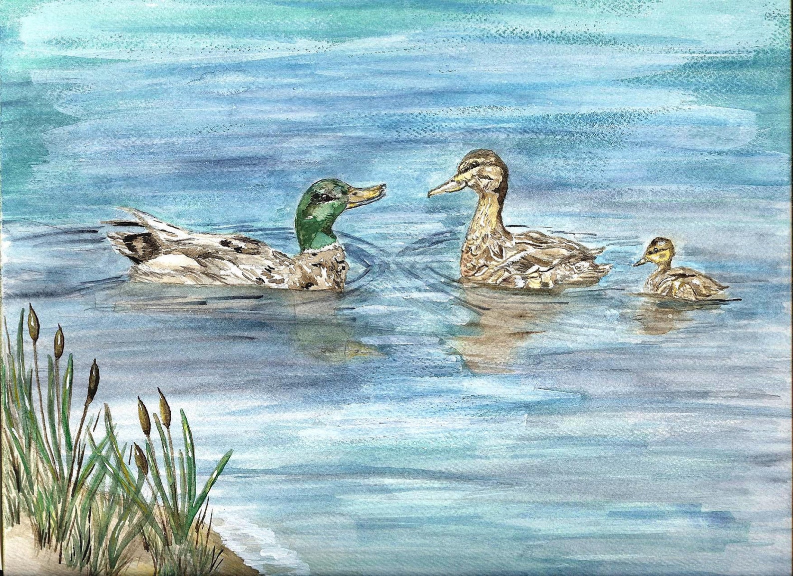 Mallard Enten Aquarell Druck Wildvögel Malerei Ente Familie Etsy
