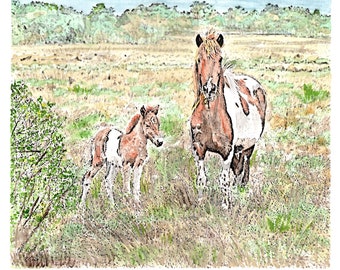 Assateague Island Wild Ponies Watercolor Print, Maryland/Virginia Shore Art, Ocean City, MD Painting