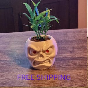 May include: A white ceramic planter shaped like an angry skull with prominent brow ridges, a clenched jaw, and small red eyes. The skull planter contains a small green plant with pointed leaves, and the text FREE SHIPPING is visible below.