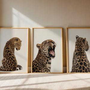May include: A set of three framed wall art prints featuring leopards. The left print shows a leopard looking down, the center print shows a leopard with its mouth open, and the right print shows a leopard facing away. Each print has a gold frame.