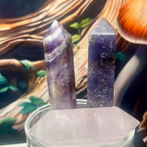 May include: Two upright polished crystal points, one featuring deep purple and white banded amethyst and the other a solid dark purple amethyst, positioned behind a horizontal, translucent pale pink rose quartz crystal point in a clear glass.