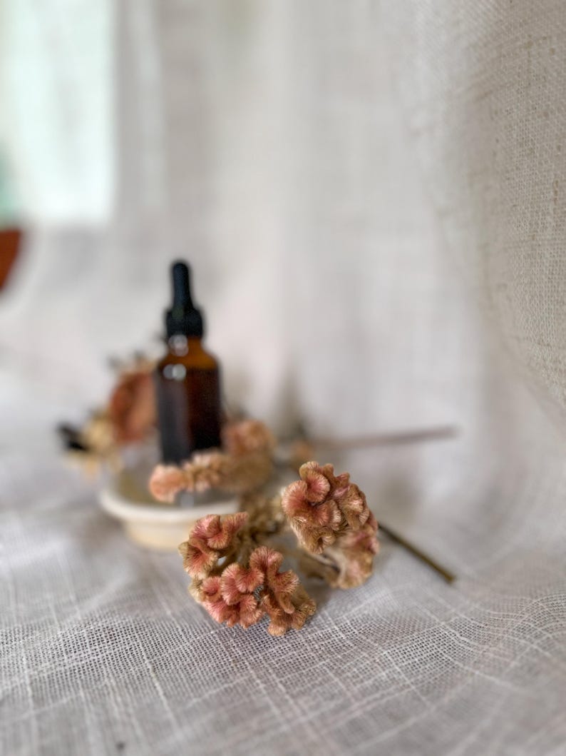 Puede incluir: Un peque&ntilde;o frasco cuentagotas de vidrio &aacute;mbar con tap&oacute;n negro se asienta sobre un plato blanco circular, rodeado de flores de celosia secas, texturizadas y de color marr&oacute;n ros&aacute;ceo, dispuestas en el primer plano de la imagen.