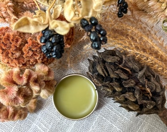 Lip Balm | Herbal Infused | Organic | Mango & Shea Butter