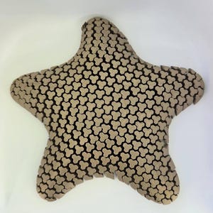 Fidget de flujo de estrella de mar satisfactorio