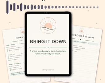 Overwhelm Relief Workbook | Bring It Down Printable | Overwhelmed At Work Plan | Feeling On Edge Journal | Instant Digital Download PDF