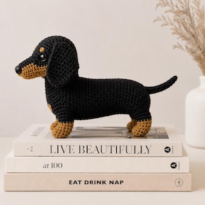May include: A crocheted dachshund dog in black and tan, sitting on a stack of books. The dog has a long body, short legs, and floppy ears. The books are titled "LIVE BEAUTIFULLY", "at 100", and "EAT DRINK NAP".