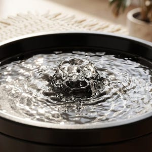 K&ouml;nnte beinhalten: Ein schwarzer, kreisf&ouml;rmiger Trinkbrunnen f&uuml;r Haustiere mit einem zentralen Auslauf, der eine kleine, sprudelnde Wasserkuppel erzeugt. Die klare Wasseroberfl&auml;che zeigt konzentrische Wellen und kleine Wassertropfen in der Luft.