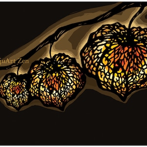 Stampa 8,5&quot;x11&quot; &quot;Lantern Plant - Notte -&quot; luce - brillante - pianta