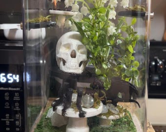 Custom Jumping Spider Enclosure
