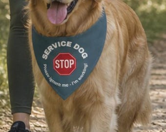Pañuelo con clip para perro de servicio / Gris, con detalle para animales de servicio