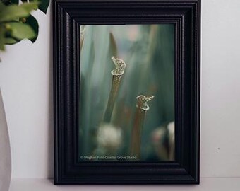 Botaniczna sztuka ścienna I Natychmiastowe pobranie cyfrowe I Wystrój domu 5x7 8x10 11x14