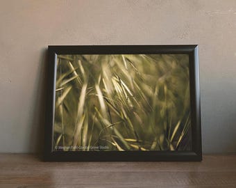 Pobieranie cyfrowe i wydruk artystyczny | Fotografia przyrodnicza | 5x7 8x10 11x14