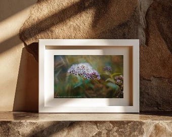 Pobieranie cyfrowe i wydruk artystyczny | Fotografia przyrodnicza | 5x7 8x10 11x14