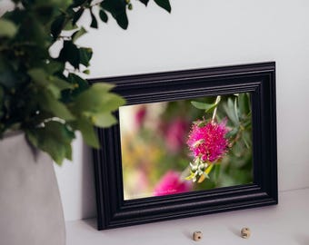 Grafika ścienna do druku | Fotografia kwiatów | Pobieranie cyfrowe | 5x7 8x10 11x14