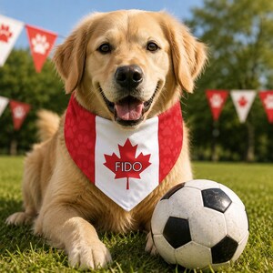 May include: A golden-colored dog wearing a red and white triangular bandana featuring a Canadian maple leaf design with the text FIDO printed in the center, positioned next to a black and white soccer ball on a green grass field.