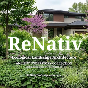 Keystone Native Shade Garden-blauwdruk | Weinig onderhoud (pdf-bestand Ohio Ecoregion 55)