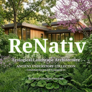 Keystone Native Shade Garden Design Blauwdruk | Weinig onderhoud (pdf-bestand Ohio Ecoregio 55)