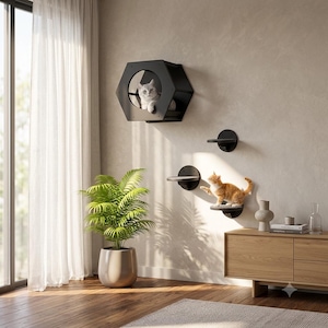 Juego de estantes de pared para gatos / Casita hexagonal, escalones flotantes, muebles modernos