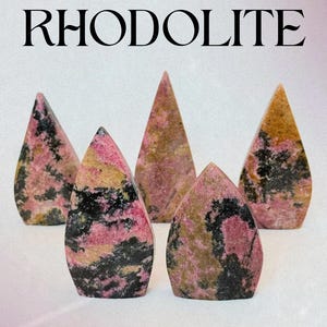 May include: Five teardrop-shaped rhodonite stones with pink, black, and tan mottled patterns. The text "ENERGETIC ALLIES RHODOLITE" appears at the top, and "THE STONE OF COMPASSION" is printed at the bottom of this display of polished minerals.
