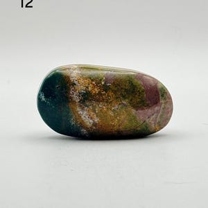 May include: A smooth, polished, oval-shaped stone featuring a mottled pattern of deep forest green, earthy brown, mustard yellow, and muted mauve tones. The stone displays a glossy surface with natural colour variations and the number 12 in the corner.
