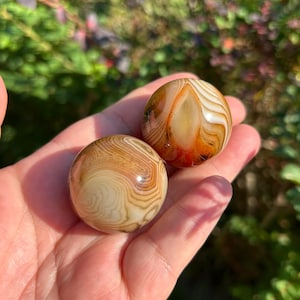 Peut inclure: Deux pierres sphériques polies présentant des bandes concentriques complexes dans des tons crème, beige et ambre profond. Les surfaces lisses et arrondies affichent des motifs naturels tourbillonnants créant un aspect organique et stratifié.