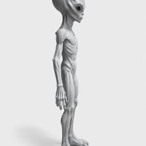 Puede incluir: Una figura gris de alienígena con una cabeza grande, extremidades delgadas y ojos oscuros. El alienígena está de perfil, mostrando su estructura esquelética y dedos y pies alargados. La figura es de color gris claro.