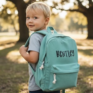 north face borealis backpack men The LP0820 With its spacious main Size:Small (30cmx16cmx46cm) Alo Mini Luxe Backpack