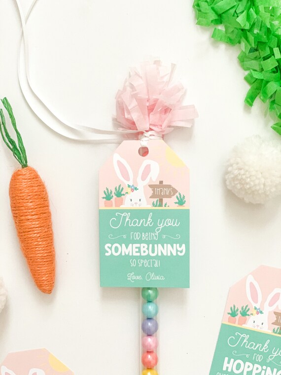 Somebunny is One Favor Tags GIRL | Somebunny is One Favors | Easter Favor Tags | Bunny Birthday Party Favors | Bunny Favor Tags Il_570xn