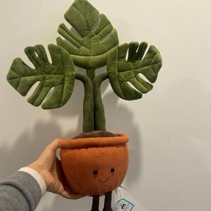 Amuseable Orchid Jellycat - Etsy