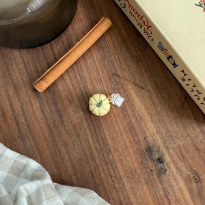 Könnte beinhalten: Ein kleiner, blassgelber Kürbisanhänger mit grünem Stiel, befestigt an einem winzigen, durchsichtigen Acryl-Anhänger in Buchform. Der Anhänger verfügt über einen goldfarbenen Metallring und zeigt ein detailliertes Miniaturdesign.