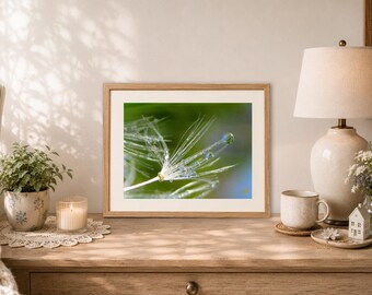 Dandelion With Dew Nature Photography, Small Meditation Print with Poem
