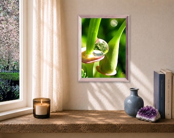 Water Drop Photography, Nature Meditation,  Small Print with Poem
