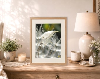 Dandelion Poof Decor, Lover's Embrace, Sensual Nature Print with Poem