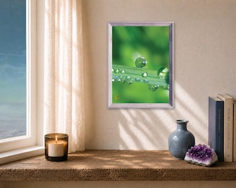 Dew Drop Meditation Photo,  Small Nature Art, Print with Poem
