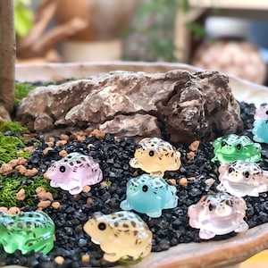 May include: A collection of small, translucent, multi-colored frog figurines with dark spots and black eyes. The frogs are arranged on a bed of black gravel and moss, featuring various colors including light blue, green, pink, and yellow tones.
