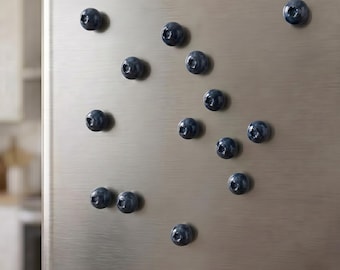 Kühlschrankmagnete-Set mit Blaubeeren | Niedliche Kawaii-Küchendeko | Geschenk für Feinschmecker zum Einzug | Fruchtkunst aus Polymerclay | Sommerliches Wohnaccessoire