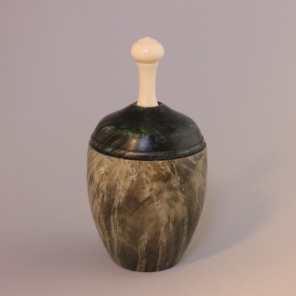 Buckeye Burl Lidded Box with Alternative Ivory Handle – Figured Wood Container