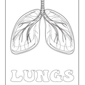 A coloring page showing a black outline of lungs with bronchial tubes above the outlined text reading LUNGS.