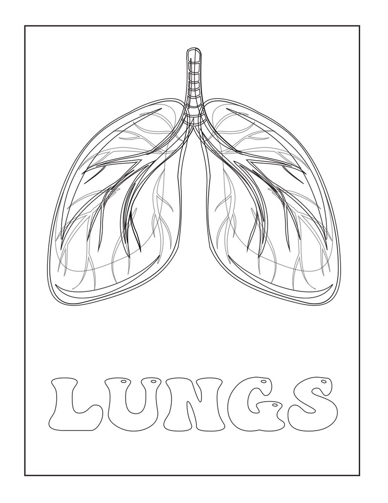 A coloring page showing a black outline of lungs with bronchial tubes above the outlined text reading LUNGS.