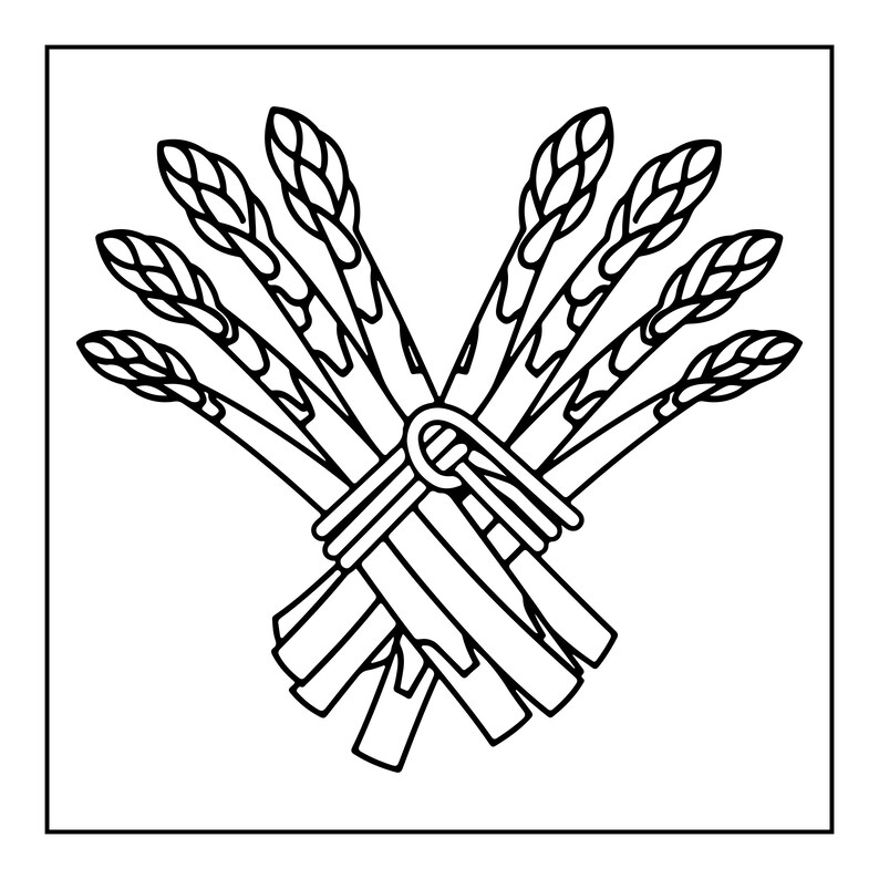 May include: A black and white line art illustration of a bundle of seven asparagus stalks tied together with a simple string. The stalks are arranged in a fan shape, with the tips pointing upward and the cut ends pointing downward.