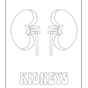 A black and white outline coloring page of two kidneys with the text KIDNEYS below.