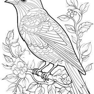 May include: A black and white line art illustration of a bird perched on a flowering branch. The bird features detailed feather patterns, while the surrounding foliage includes leaves and small blossoms, creating a clear, high-contrast design.